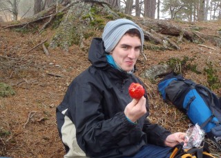 Liam - toffee apples
